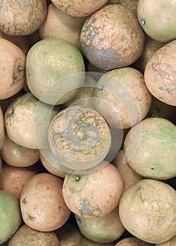 a photography of a pile of oranges with a lot of green ones, oranges are piled up in a pile with a lot of dirt on them