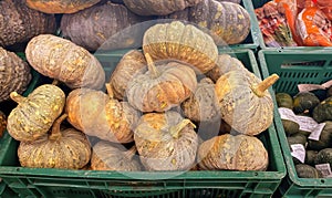 a photography of a pile of pumpkins in a green crate, spaghetti squash and pumpkins are stacked in crates at a market