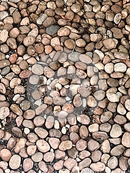 a photography of a pile of rocks and gravel on a ground, lumbermill of rocks and gravel in a garden bed