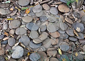 a photography of a pile of rocks and leaves on the ground, labyrinth of rocks and leaves on the ground in the woods