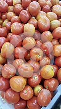 a photography of a pile of tomatoes in a bin at a market, there are many tomatoes in a bin at the market