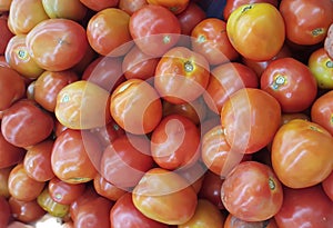 a photography of a pile of tomatoes sitting on top of each other, there are many tomatoes that are piled together in a pile