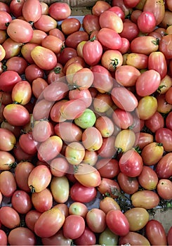 a photography of a pile of tomatoes sitting on top of a table, rose hippe tomatoes are piled up in a pile on a table