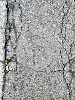 a photography of a street with a crack in the concrete, concrete surface with cracks and cracks and a plant growing out of it