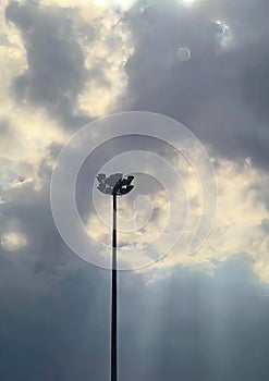 a photography of a street light with a bird on it, pole with a bird on it against a cloudy sky photo