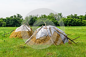Photography on theme big dry haystack in grass farm field