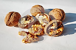 Walnuts photo