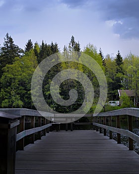 Photography of  wooden bridge in the forest photo