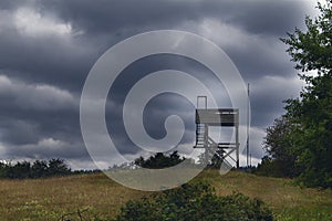 Photography of a wooden structure in a forest photo