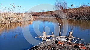 Photography of Zlatica river landscape in Banat Vojvodina Serbia