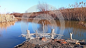 Photography of Zlatica river landscape in Banat Vojvodina Serbia