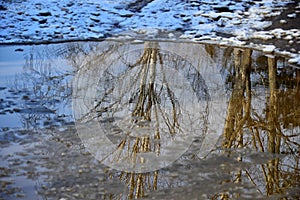 Photoproject `Spring puddles`. A series of photographs. A puddle on a forest road. Snow lies along the edges of the puddle. Reflec