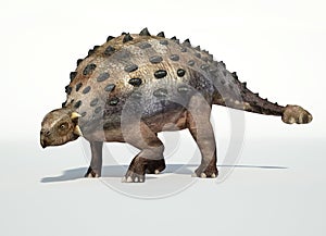 Photorealistic 3 D rendering of an Ankylosaurus. photo