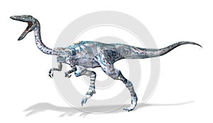 Photorealistic 3 D rendering of a Coelophysis. photo