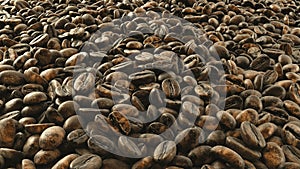 Photorealistic 3D Coffee Grains