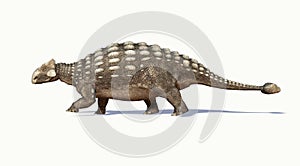 Photorealistic 3D rendering of an Ankylosaurus. Side view. photo