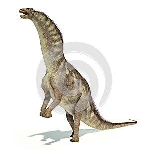 Photorealistic representation of an Amargasaurus dinosaur. Dynamic posture.