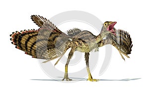 Photorealistic representation of an Archaeopteryx dinosaur. photo