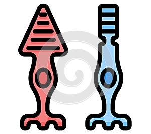 Photoreceptor cell