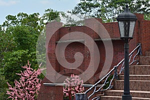 photos of buildings with plants and flowers in the background