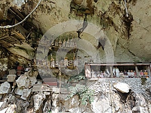 Photos of chests above the caves are hung in rows where the ancestors of Toraja land rest