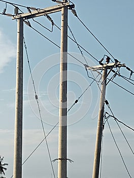 photos of clear skies and pictures of electricity poles and electricity cables