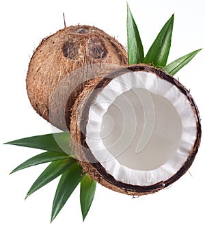 Photos of coconuts on a white background.