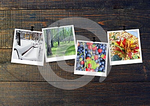 Photos of four seasons attached to dark wooden wall