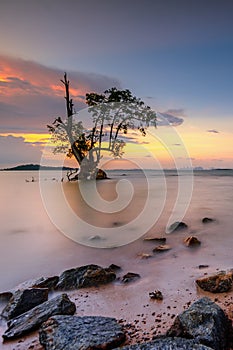 Photos panorama of Bintan wonderful indonesia