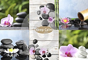 Photos of stones and flowers. Zen and harmony