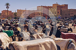 DONKEY PARKING in Rissanni zoco, Morocco photo