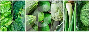 Photos with variety of green organic vegetables leafy greens in arranged on banner collage set