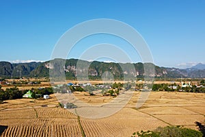 Photos of views of rice fields during the dry season