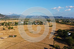 Photos of views of rice fields during the dry season