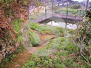 Green Pathways, Madeira Island Portugal photo