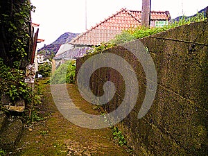 Urban Pathways, Madeira Island Portugal photo