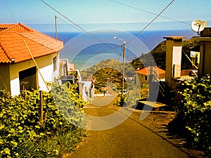 Urban Pathways, Madeira Island Portugal photo