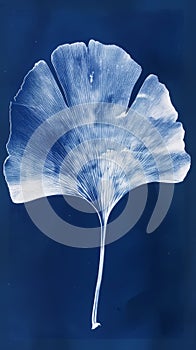 Photosensitive sunprint photography or cyanotype of Ginkgo biloba leaves. Herbarium concept. Generative AI photo