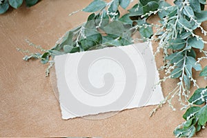 Photostock wedding styled composition. Feminine desktop mockup scene with eucalyptus leaves, silk ribbon, blank greeting card on c