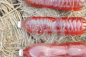 photosybthetic bacteria (PSB), red water in plastic bottle is organic fertilizer use for grow plant