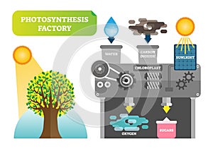 Photosynthesis factory infographic vector illustration for clean nature.