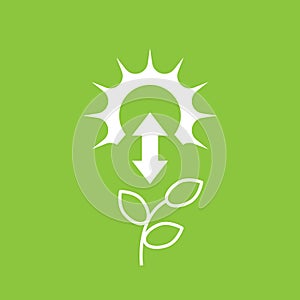 Photosynthesis icon with sun and plant, vector