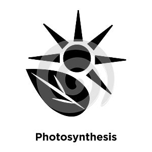 Photosynthesis icon vector isolated on white background, logo co