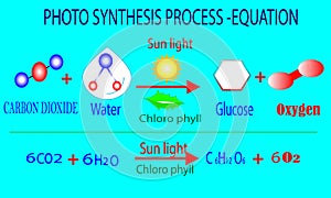 PHOTOSYNTHESIS  process 02 molecule or oxygen molecule chemistry o2 gas vector or illustration
