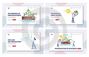 Photosynthesis Process Landing Page Template Set. Tiny Scientist at Infographics Presenting Changes Sunlight Into Energy