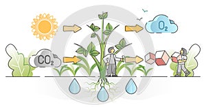 Photosynthesis process with plants carbon dioxide absorption outline concept