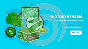Photosynthesis Website Banner