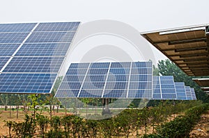 Photovoltaic cell array