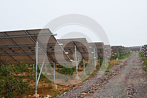 Photovoltaic cell array