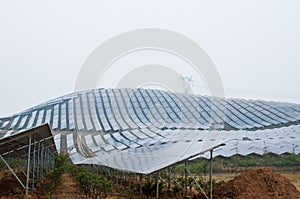 Photovoltaic cell array